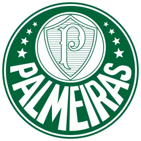 Coupe du monde CONMEBOL Palmeiras