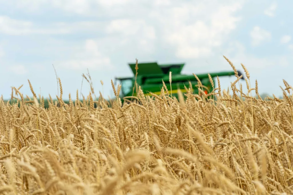 Qu'est-ce que la "Farmers League" ? Décryptage d'une polémique